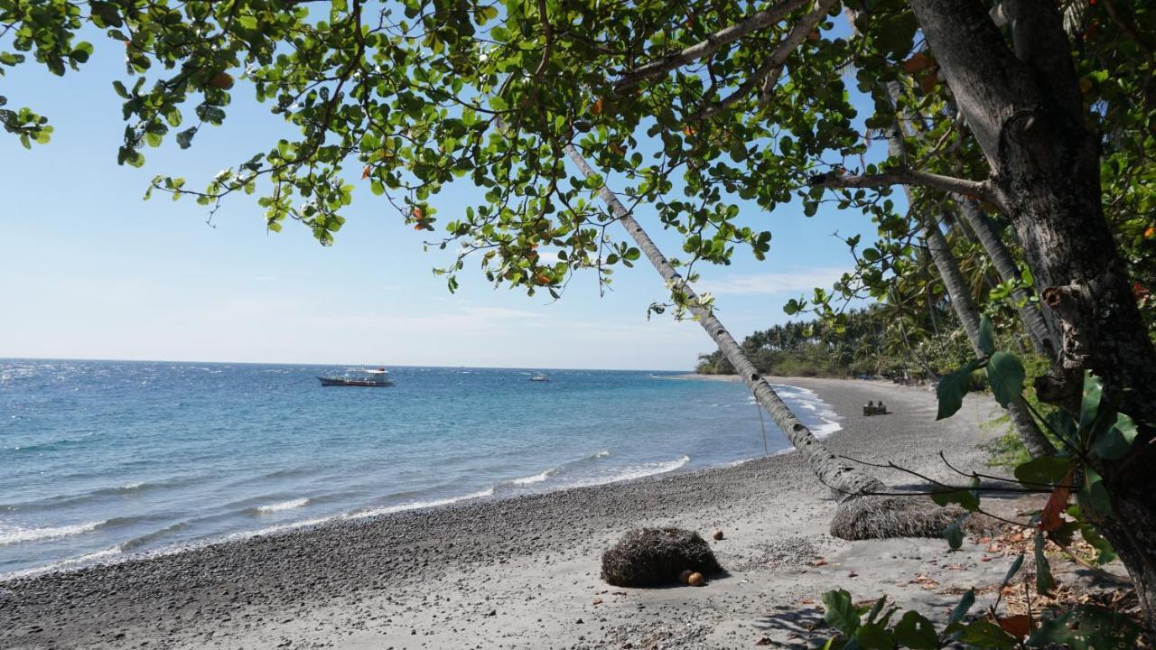 Wellbeach Dive Resort Zamboanguita  Exterior foto